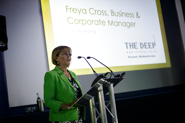 Balancing act for Deep Business Centre as report highlights growth